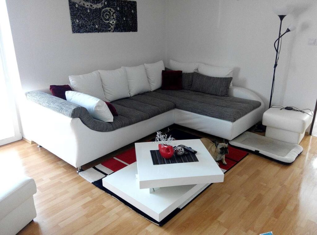 Salon avec canapé gris blanc, table basse, lampe, tapis, et chat